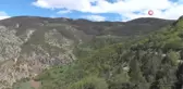 Coreker Yaylası'nda doğal mantarlar çıkmaya başladı