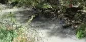 Ümmü kızın türküsü de kuraklığa yenildi