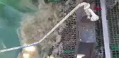 Gemlik Körfezi'ndeki deniz kirliliği temizleniyor