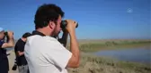 Kıyı balıkçılı kuşu, Türkiye'de ilk kez Hatay'da kayıt altına alındı