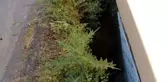 SARIYER'DE BOŞLUĞA DÜŞEN İŞÇİYİ İTFAİYE KURTARDI