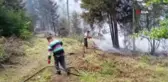 Son dakika haberleri | Artvin'deki orman yangınında 4 bin çam ve ladin ağacı yandı