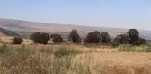 Lübnan-İsrail sınırında Filistinlilere destek için düzenlenen gösteriler üçüncü gününde devam etti
