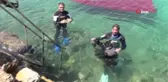Gençlik ve spor bayramında denizi temizlediler
