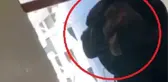 Mutfaktaki davlumbaza giren 4 yarasa çıkarıldı