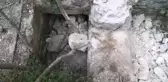 TARİHİ UNKAPANI DEĞİRMENİ'NDE TALAN