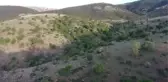 AFYONKARAHİSAR - Koruma altındaki 