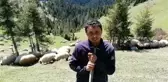 Çobanların yün çağrısı