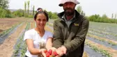 ŞEHİRDEN KÖYE DÖNEN ÇİFT, ÇİLEK ÜRETİCİSİ OLDU
