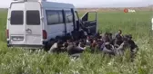 49 göçmenin içinde bulunduğu minibüs yoldan çıktı: 4 yaralı