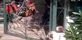 Son dakika haberi! Demirlere sıkışan köpeği itfaiye kurtardı