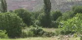 Siirt'te aileler, devlet desteğiyle sağlanan susam tohumlarını toprakla buluşturdu