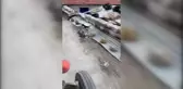 Gölbaşı'nda traktör sürücüsü yavru kargayı kediden kurtardı