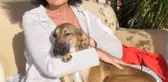 Köpeklerini zehirleyeni bulana 10 bin TL ödül verecek
