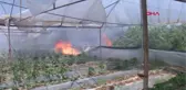 ANTALYA'DA SERALARIN YAKININDAKİ SAZLIK YANGINI 3 SAATTE SÖNDÜRÜLDÜ- -5
