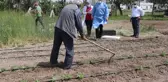 Son dakika haber... Hastaneye gitme fırsatı bulamayan Erzincanlı çiftçi aile çapa yaptıkları tarlada aşılandı