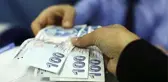 Hibe desteği başvuruları TC kimlik numarasının son hanesine göre yapılacak