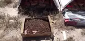 ÖĞRETMEN VE ÖĞRENCİLER SOKAK HAYVANLARINI BESLEDİ