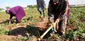 40 derece sıcakta zorlu mesai