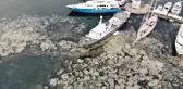 Deniz salyası ve balık ölümlerinin nedeni su sıcaklığının artması