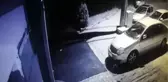 Kedi ölümlerine sokak köpeklerinin neden olduğu değerlendiriliyor