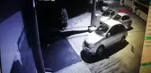 SİVAS'TA ÖLÜ BULUNAN KEDİLERLE İLGİLİ ARAŞTIRMA SÜRÜYOR