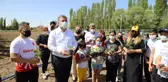 Çubuk'ta genç sporcular ihtiyaç sahipleri için sebze yetiştiriyor