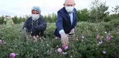 KILIÇDAROĞLU, GÜN DOĞUMUNDA İŞÇİLERLE GÜL TOPLADI