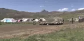 Muş ve Hakkari'nin huzurlu yaylaları göçerlerin vazgeçilmezi oldu (1)