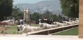 Son dakika haberleri... ABD Dışişleri Bakan Yardımcısı Sherman, Anıtkabir'i ziyaret etti