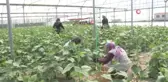 Bu yöntem sayesinde vatandaşlar meyve ve sebzeleri ucuza satın alıyor