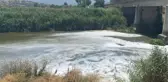 BÜYÜK MENDERES NEHRİ'NDE TEDİRGİN EDEN KİRLİLİK