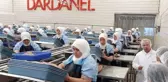 Dardanel, Yunanistan'ın önde gelen deniz ürünleri şirketini satın alıyor