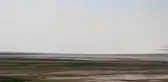 İç Ege'nin kuş cenneti Acıgöl'de sular çekilmeye devam ediyor