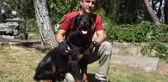 Sahibi uyuşturucudan tutuklanan 'Buffy', artık polis köpeği