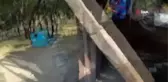 3 gündür kuyuda mahsur kalan yavru köpek kurtarıldı