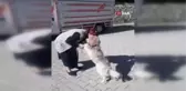 Kaybolan köpeğin sahibiyle duygulandıran buluşma anları kamerada
