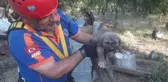 KUYUYA DÜŞEN YAVRU KÖPEĞİ AFAD EKİPLERİ KURTARDI