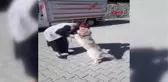 ŞERİFE TEYZE, 'KİBAR'INA KAVUŞTU