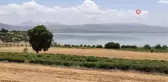 Yağını geleneksel yöntemlerle çıkartıp gramını 100 TL'den satıyor