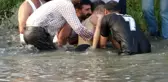 Arkadaşları ile birlikte Dicle Nehrine girdi, cansız bedeni çıktı