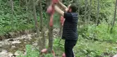 Bölge halkı canından bezdi! Artık ayılar köye inmesin diye ormana sakatat bırakıyorlar