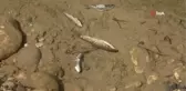 Kuruyan dereye su takviyesi yapıldı