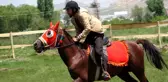 Van'da ata sporu biniciliğe ilgi arttı