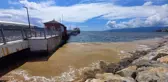 Gemlik Körfezi'nde deniz salyası kıyı bölgelerde yoğunlaştı