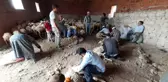 Afyonkarahisar'da koyun kırkım sezonu başladı