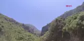 Datça'da orman yangını