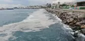 Bostancı Sahili'nde deniz salyası yoğunluğu su altı kamerasıyla görüntülendi