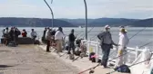 ÇANAKKALE'DE 1,5 AY SONRA AÇILAN İSKELE BALIK TUTANLARLA DOLDU