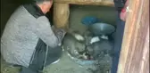 Kilometrelerce yol kat edip, sokak hayvanlarını elleriyle besliyor